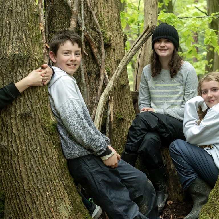 children in trees