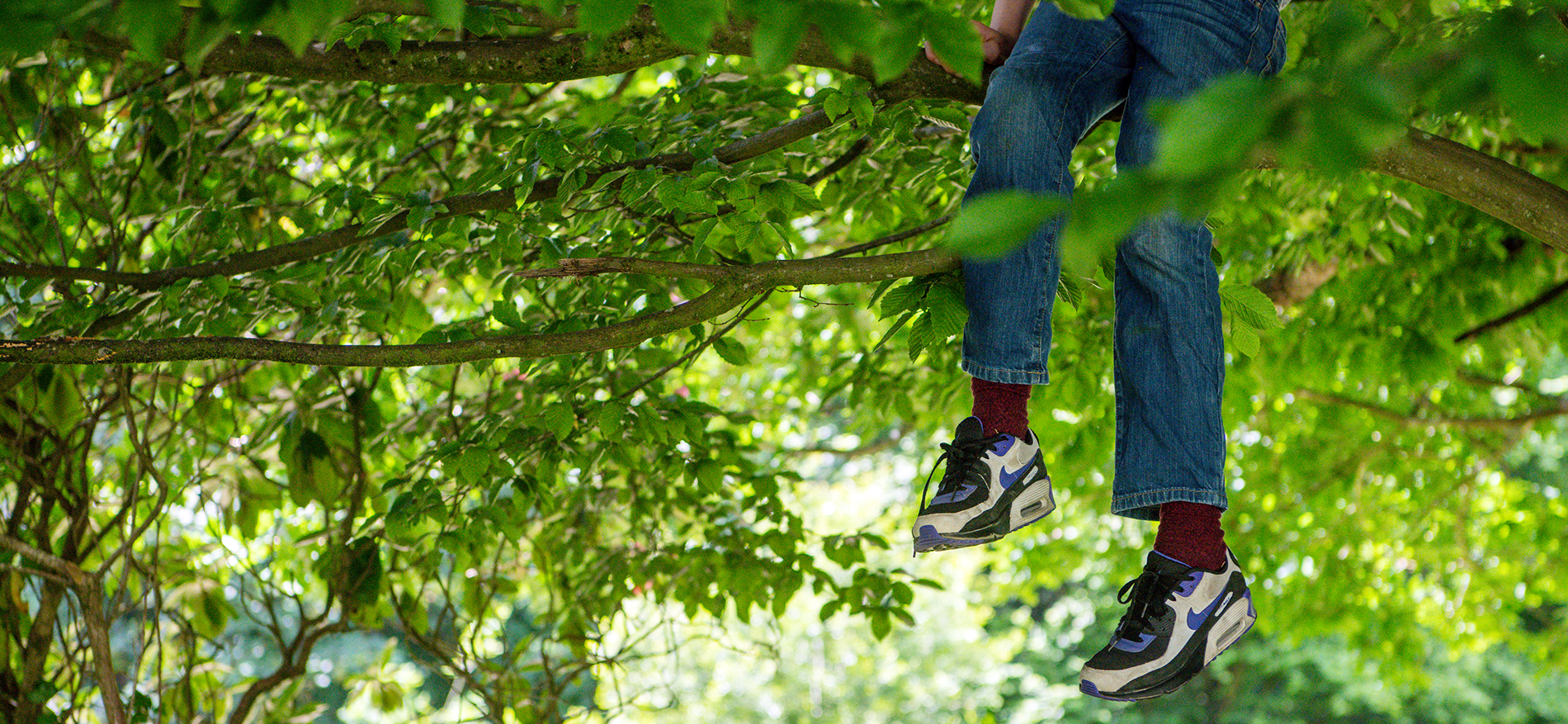 person in a tree