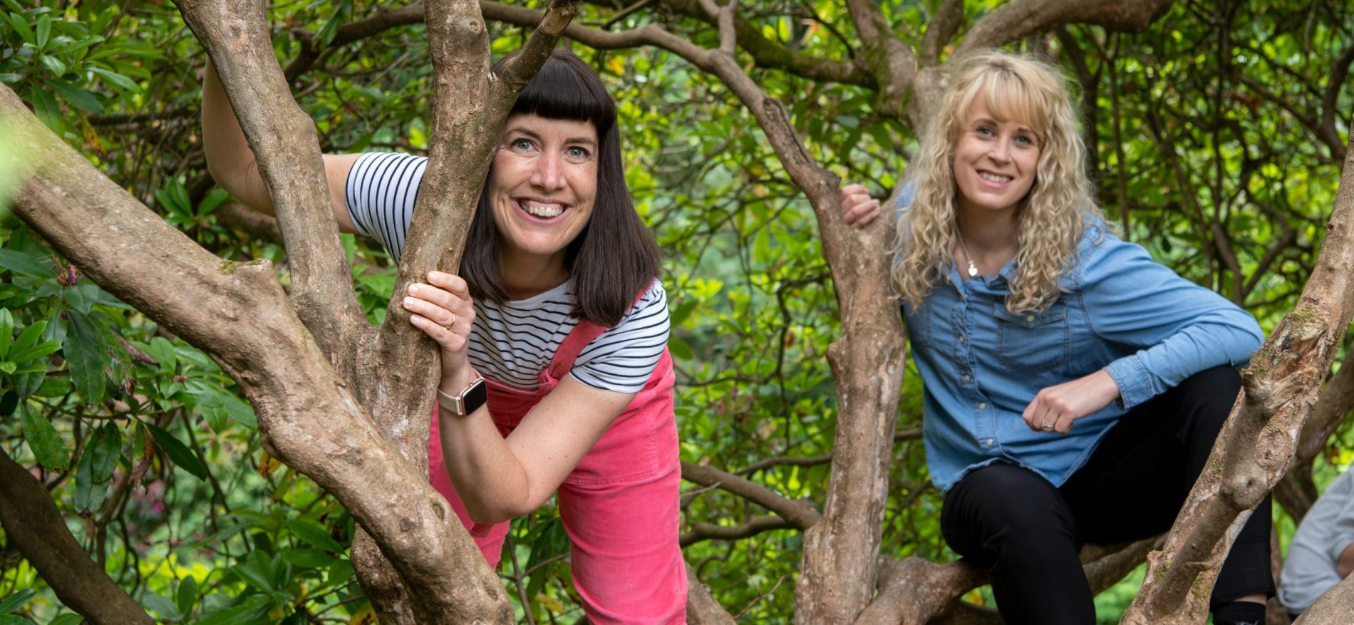 teachers in the tree