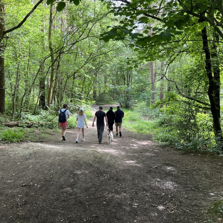 students walking down the forest