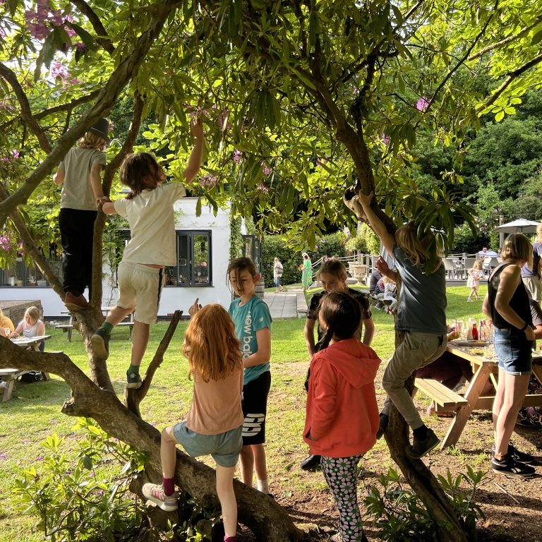 students climbing the trees