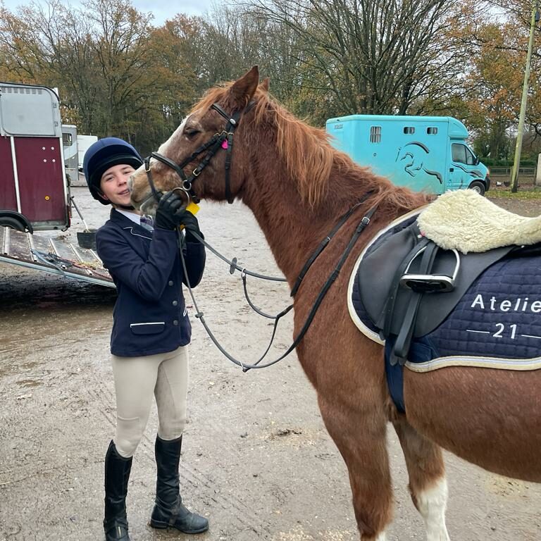 girl tending to a horse